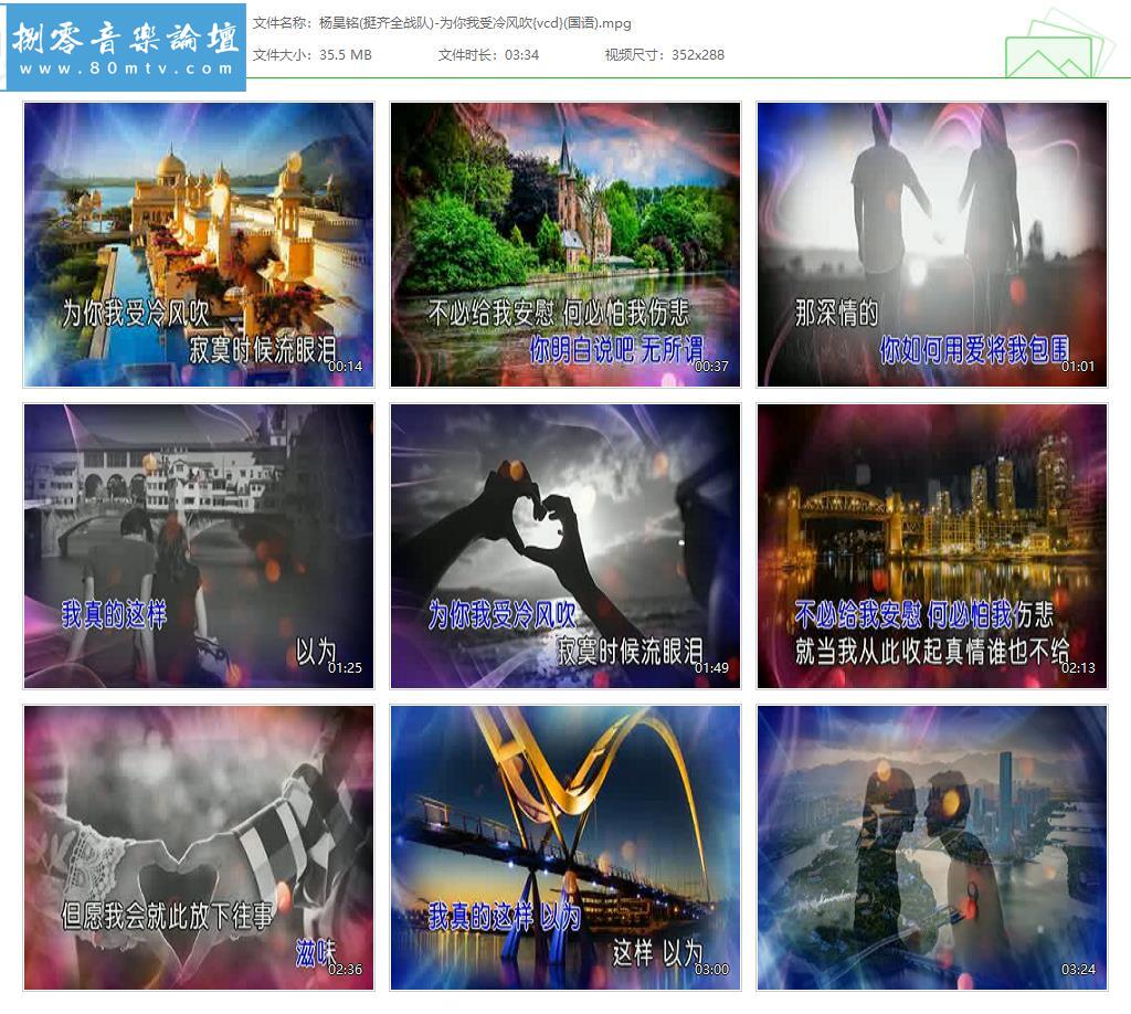 杨昊铭(挺齐全战队)-为你我受冷风吹{vcd}(国语).jpg