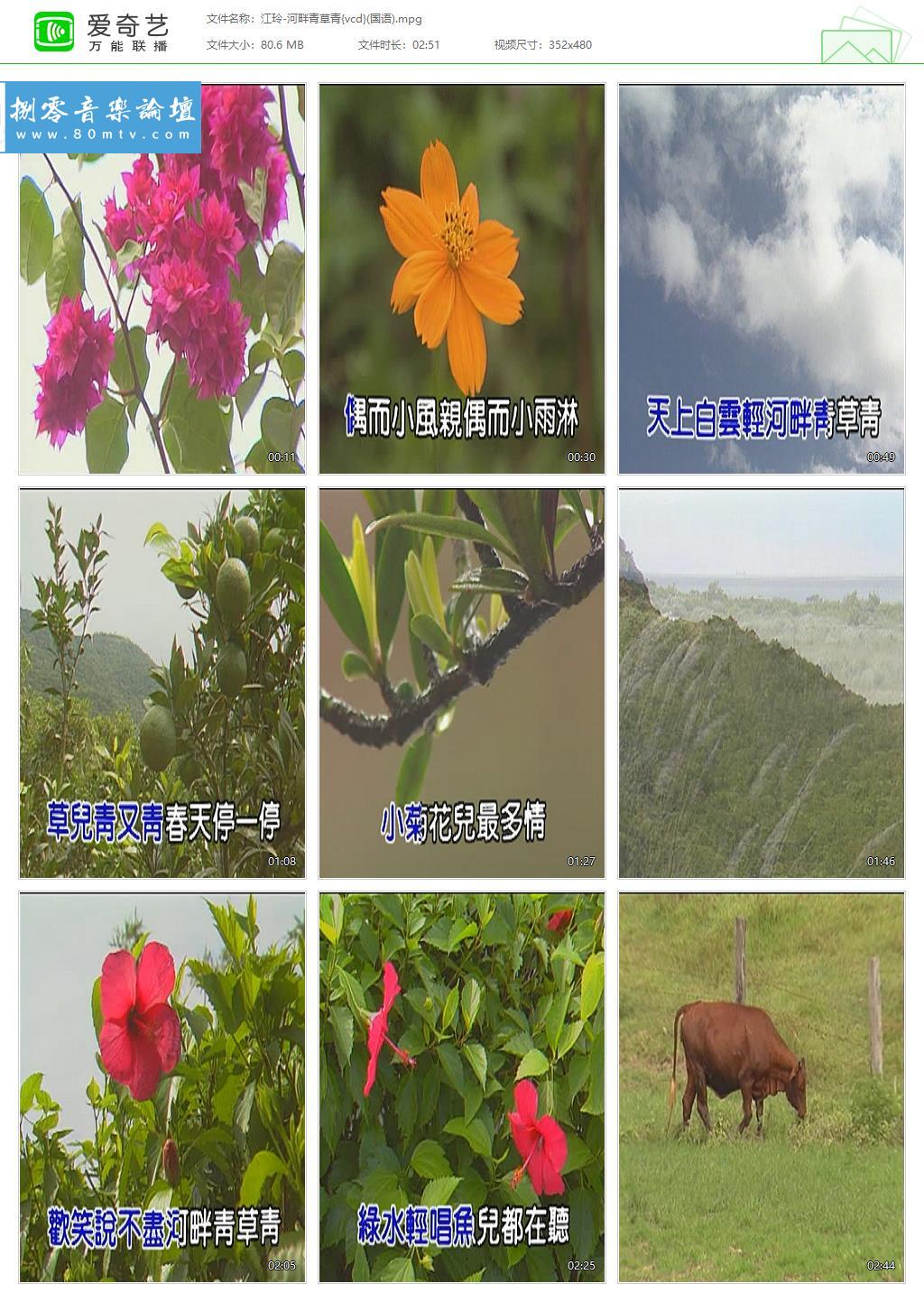 江玲-河畔青草青{vcd}(国语).jpg