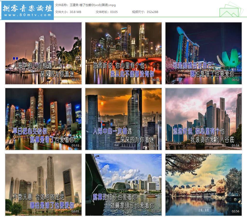 王建荣-错了也爱你{vcd}(国语).jpg