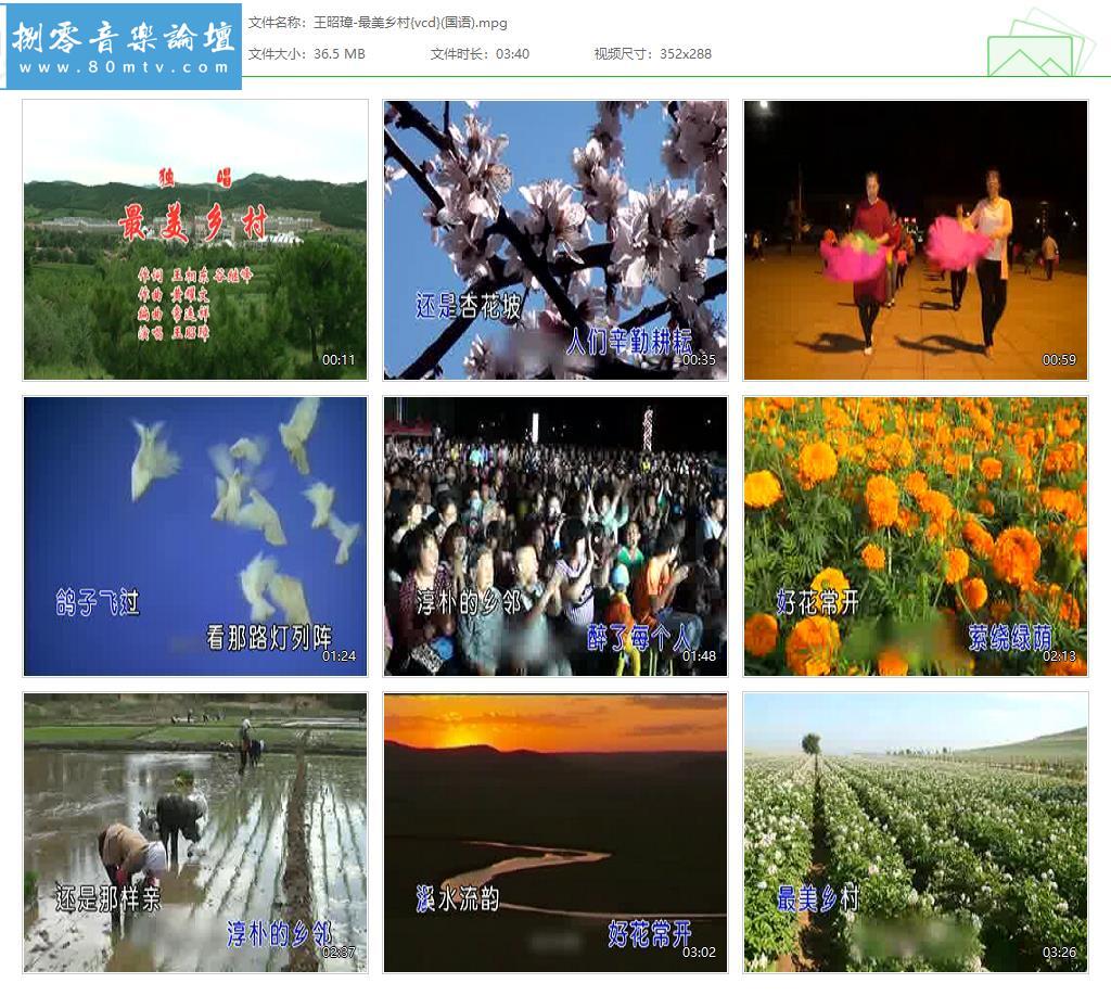 王昭璋-最美乡村{vcd}(国语).jpg