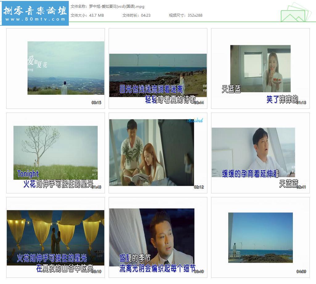 罗中旭-爱如夏花{vcd}(国语).jpg
