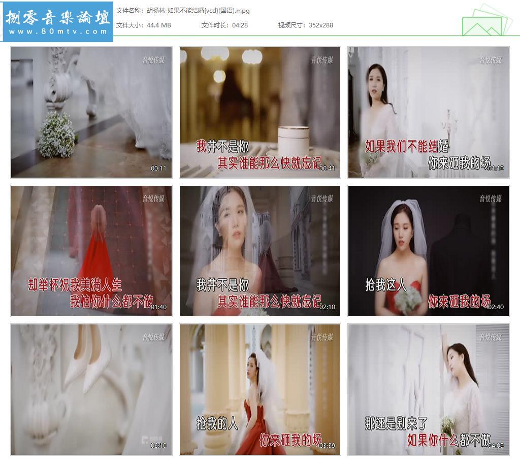 胡杨林-如果不能结婚{vcd}(国语).jpg