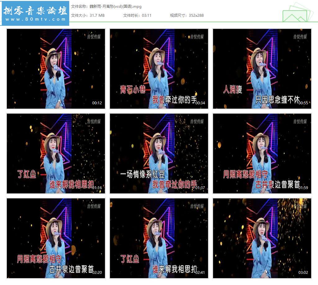 魏新雨-月离愁{vcd}(国语).jpg